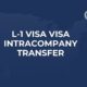 L-1 Visa USA (2026 Guide) – Intracompany Transfer Requirements, Process & Eligibility